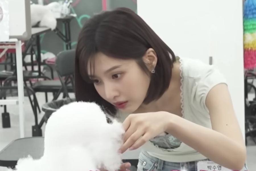 Joy (Red Velvet): a revelação sobre o futuro que ninguém esperava